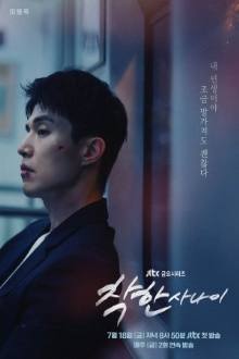 The Nice Guy (2025)